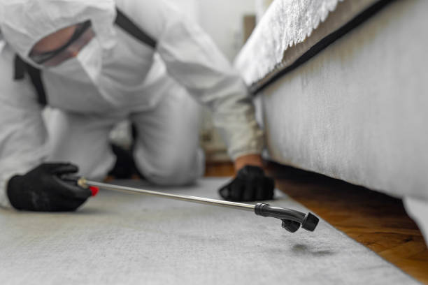 Professional Termite Control technician working in Ward County County, ND